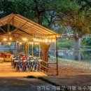 가평 녹수계곡 불멍 펜션 | 가평 녹수계곡 애견동반펜션 경기도 펜션에서 반려견과 함께하는 특별한 시간 놓치지 마세요