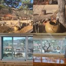 담소원 | 홍천펜션 담소원에서 누리는 조용한 힐링 여행, 홍천 자연 속 감성 숙소 후기