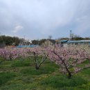 지중해 풀빌라펜션 이미지