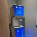 호텔 퀸 | 하와이 퀸 카피올라니 호텔 2박 후기