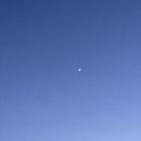 다온갈비 이미지