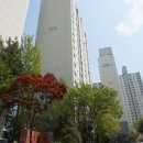 성현동-34 네이버블로그