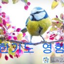 나한의원 | 나한기도 영험담 및 점집 후기 모음