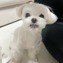 별빛반점0318