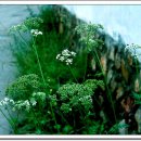 열매나라 - 성동구 성덕정길 93 | 열매나라