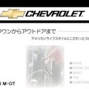 CHEVROLET 자전거 팝니다. (2일 사용,품질보증서드림) 이미지