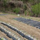 금봉산 농장 이미지