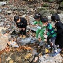 금란어린이집 이미지