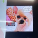 삼랑진권 투어 | 골골원 돌팔이 셰프와 함께하는 골골 삼랑진투어