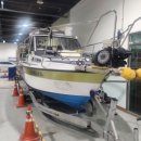 에이스카프라자 이미지