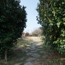 꽃섬투어 이미지