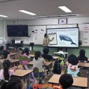 노산초등학교 중앙통신뉴스