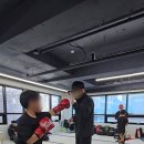 클라우스 복싱 이미지