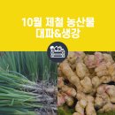 황토생강식품