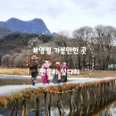주천면-7(도천교 밑) | [강원 영월]판운 섶다리, 7개월동안만 볼 수 있는 영월 사진찍기 좋은 가볼만한 곳(ft.카페 브리즈)