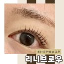 리니브로우