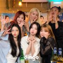 마이딩고 이미지