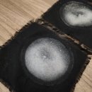 사기막골로 45번길 | [수원] 델핀홈케어 침대 매트리스 진드기케어 후기
