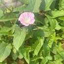 경현농장 이미지