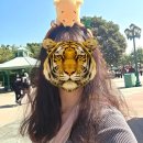 세븐일레븐 김해동상골드점 | 방문 뱃지, 20주년 기념 여권, 식당 로얄 뱅킷 홀 후기, 겨울왕국(프로즌 에버 애프터 대기시간, 탑승...