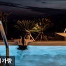 스테이 가량 | 제주, 서귀포, 숙소 스테이가량 서귀포 스테이가량, 느긋한 휴식 공간