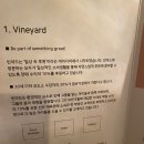 빈야드10(vineyard10) 이미지