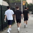 네잎크로버 이미지