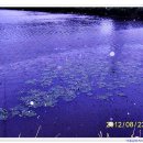 평촌세천 이미지