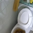 변기막힘 이미지
