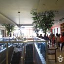 극동스포랜드 이미지