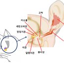 전대동물약국 이미지