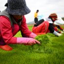 해남군-03 이미지