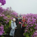 사자산마을 이미지