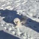 소연목장 이미지