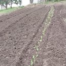 강진산들농원 이미지