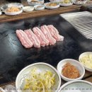 카카오 이미지