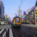 코부타식당 | 시로야마 전망대 (가고시마 시티뷰버스 노선 및 시간표) / 덴몬칸 흑돼지 돈카츠 맛집 쿠로부타(黒福多)