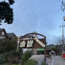 솔밭펜션 | 태안 만리포해수욕장 가성비 좋은 솔밭펜션 내돈내산 솔직후기