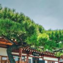 여수한옥체험관 이미지