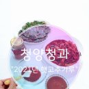 신선청과 이미지