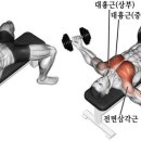 헬스 이미지