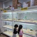 우다다햄쮸 이미지