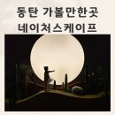 동탄가볼만한곳 리뉴얼 된 네이처스케이프플러스 후기 with35개월 9개월