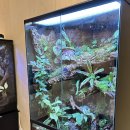 애니멀리움 이미지