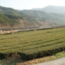 한밭 이미지