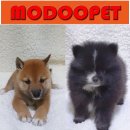 모두와샵 이미지