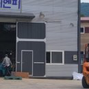 엔피라인