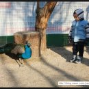 민용농장 이미지