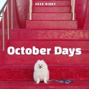 신창세탁 | 2025년 10월 일상