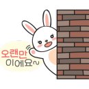 또화반점 이미지